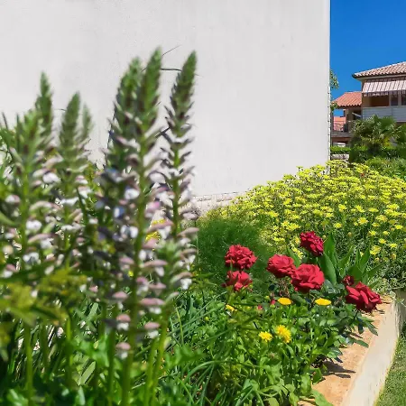 Muki-2 By Interhome Appartamento *