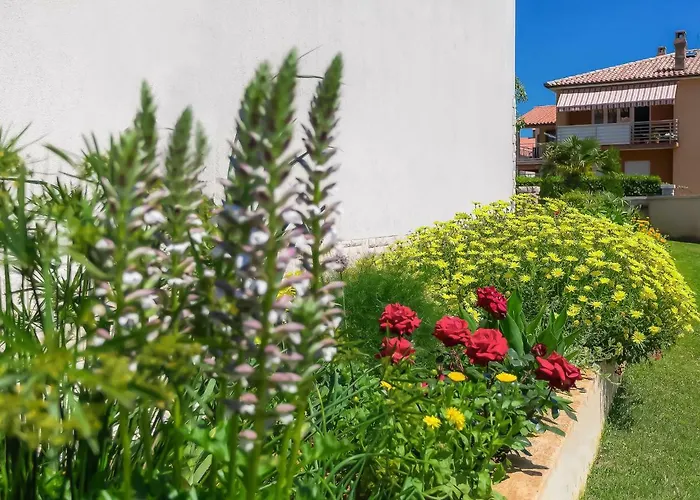 Muki-2 By Interhome Apartman *